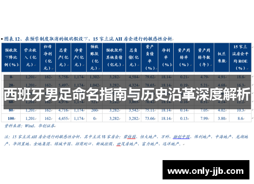 西班牙男足命名指南与历史沿革深度解析