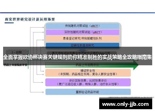 全面掌握欧协杯决赛关键规则助你精准制胜的实战策略全攻略指南集