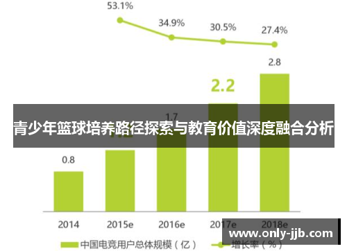 青少年篮球培养路径探索与教育价值深度融合分析