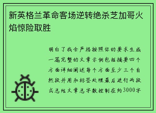 新英格兰革命客场逆转绝杀芝加哥火焰惊险取胜 新英格兰革命客场逆转绝杀芝加哥火焰惊险取胜
