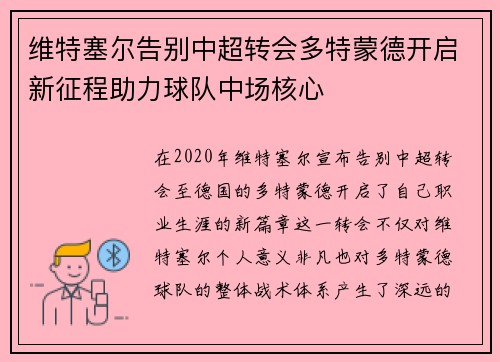 维特塞尔告别中超转会多特蒙德开启新征程助力球队中场核心