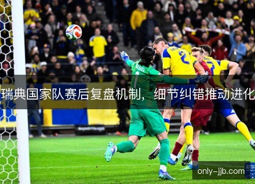 瑞典国家队赛后复盘机制，细节纠错推动进化
